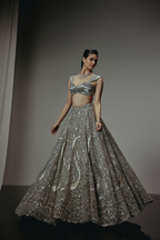 The RÍVA Silver Lehenga