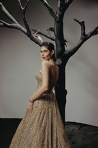 The RÉVE Gold Lehenga